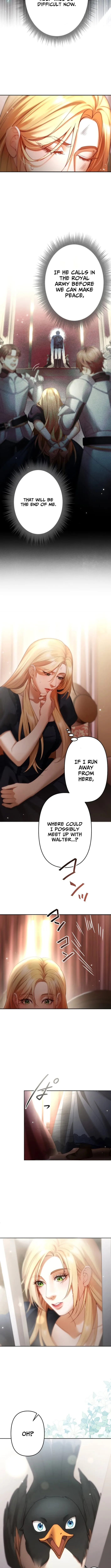 A Widowed Queen’s Devotion for Love Chapter 5 page 2 - 