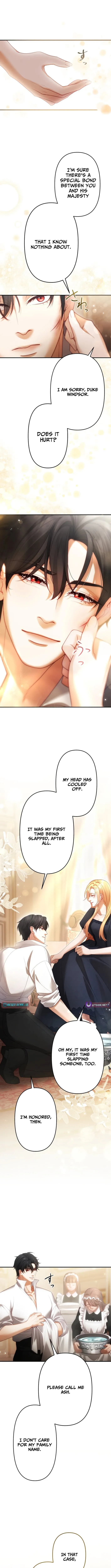 A Widowed Queen’s Devotion for Love Chapter 5 page 12 - 