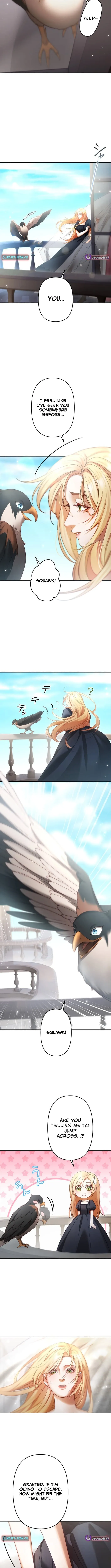 A Widowed Queen’s Devotion for Love Chapter 5 page 3 - 
