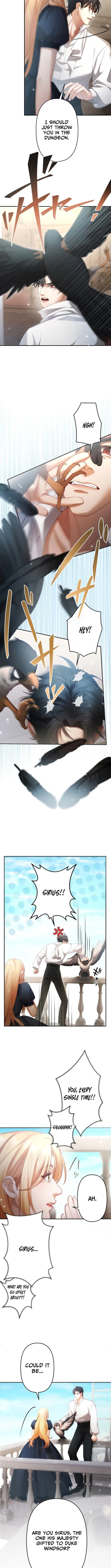 A Widowed Queen’s Devotion for Love Chapter 5 page 6 - 