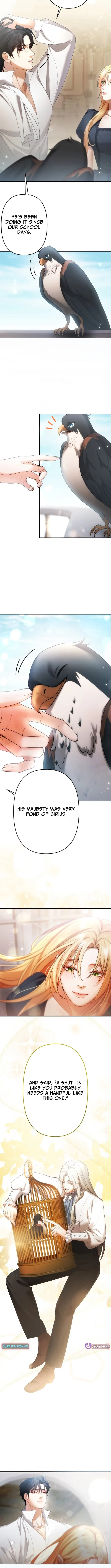 A Widowed Queen’s Devotion for Love Chapter 5 page 8 - 