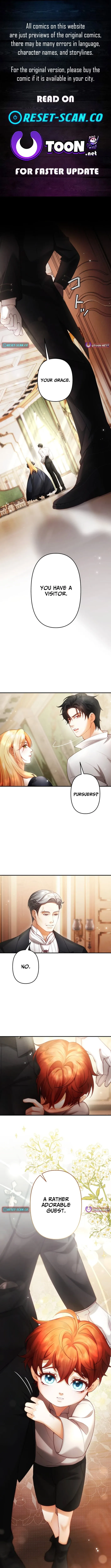 A Widowed Queen’s Devotion for Love Chapter 6 page 1 - 