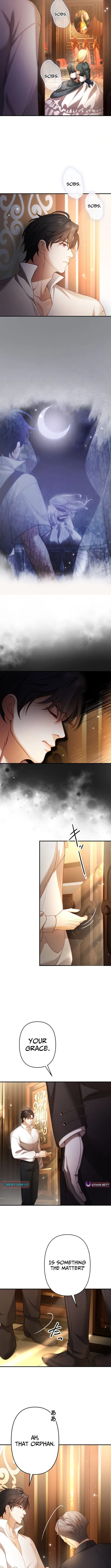 A Widowed Queen’s Devotion for Love Chapter 7 page 6 - 