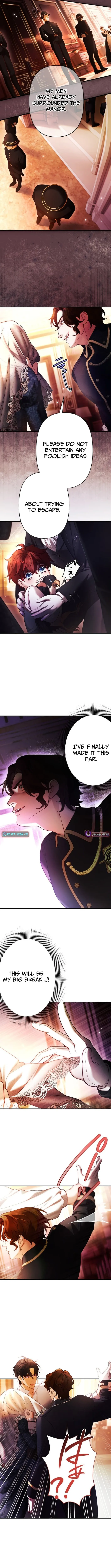 A Widowed Queen’s Devotion for Love Chapter 8 page 8 - 
