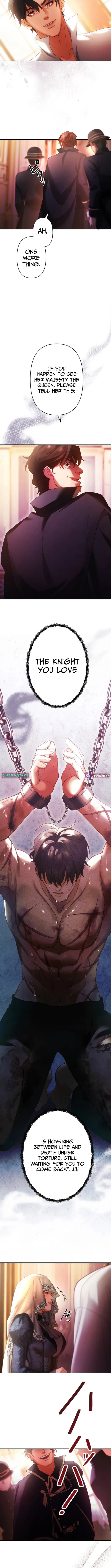 A Widowed Queen’s Devotion for Love Chapter 9 page 9 - 