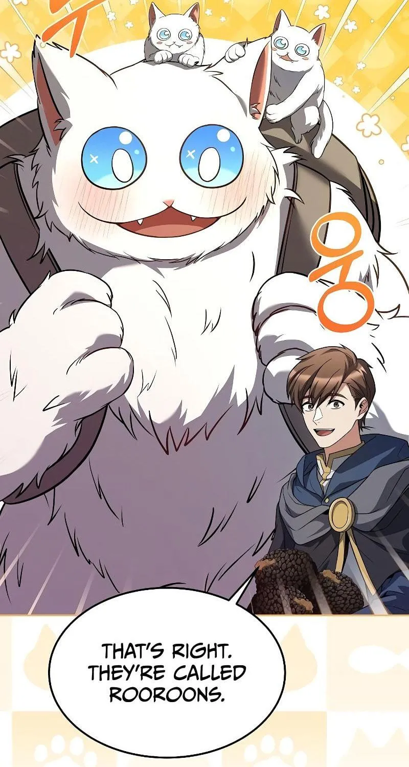 A Wizard