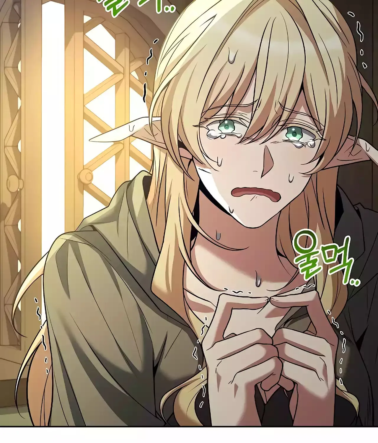 A Wizard
