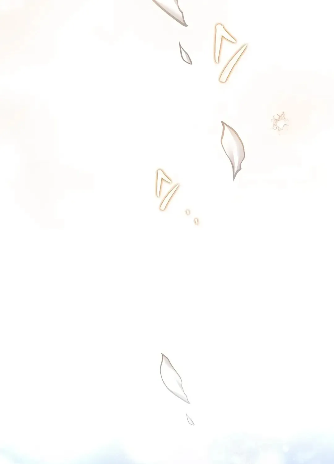 A Wizard