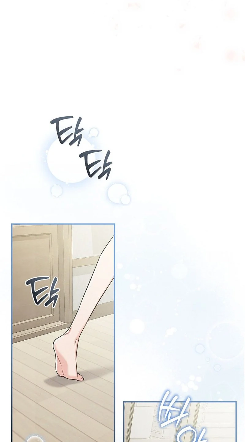 A Wrongful Romance Chapter 15 page 25 - 