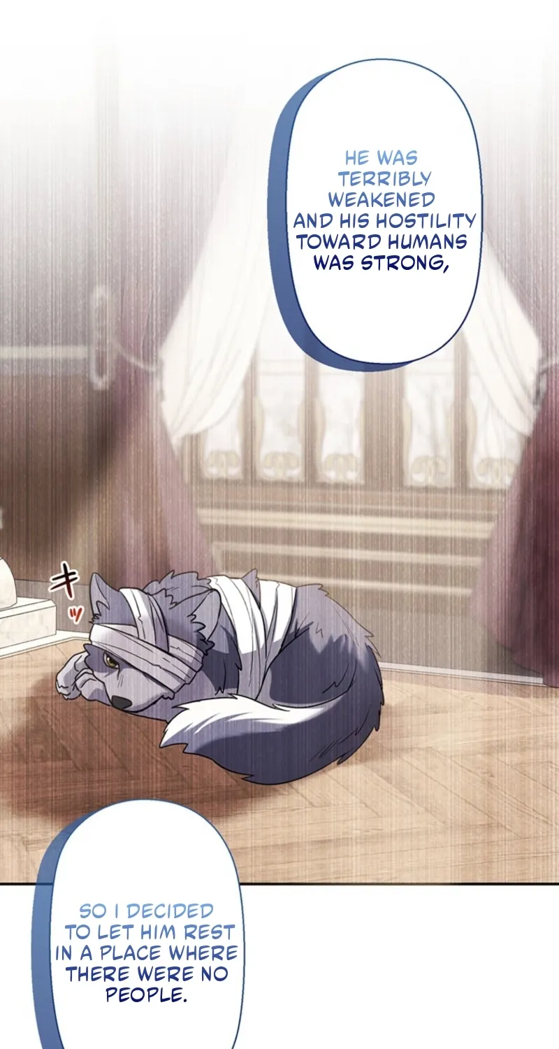 Abandoned, Is It Really Okay to Be Loved This Much? Chapter 14 page 67 - 