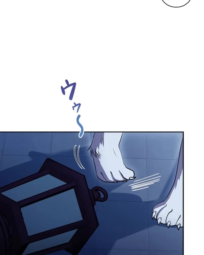 Abandoned, Is It Really Okay to Be Loved This Much? Chapter 17 page 155 - 