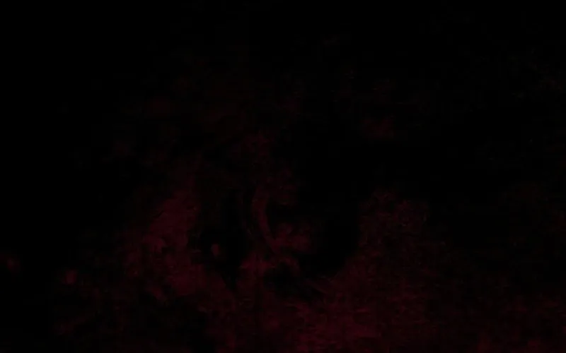 Abandoned, Is It Really Okay to Be Loved This Much? Chapter 19 page 12 - 