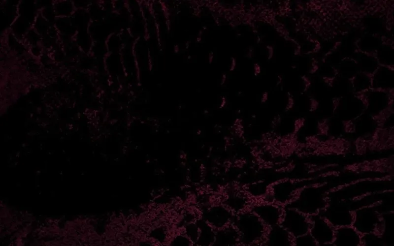 Abandoned, Is It Really Okay to Be Loved This Much? Chapter 19 page 6 - 