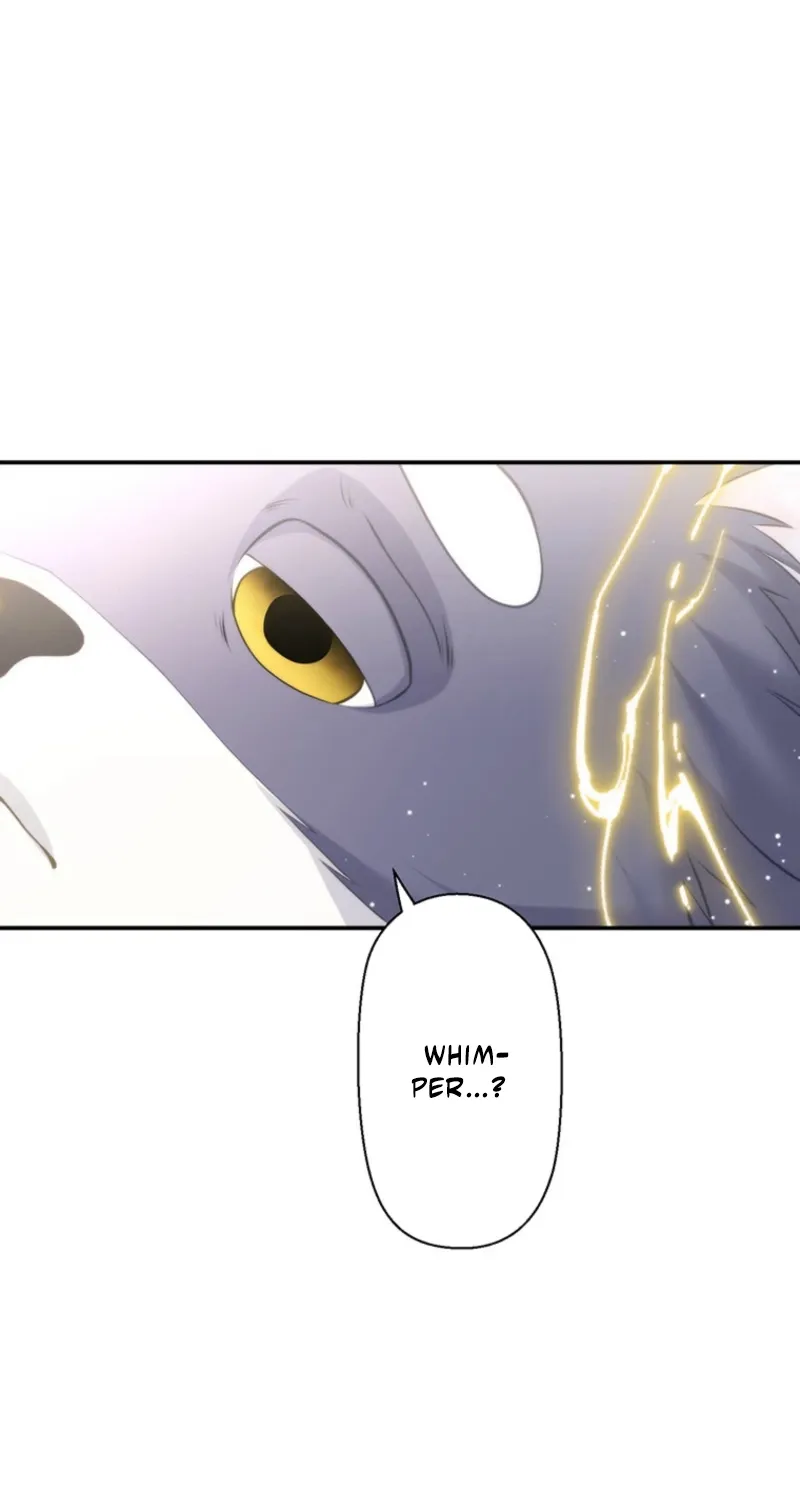 Abandoned, Is It Really Okay to Be Loved This Much? Chapter 2 page 44 - 