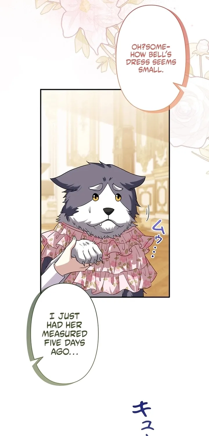 Abandoned, Is It Really Okay to Be Loved This Much? Chapter 25 page 27 - 
