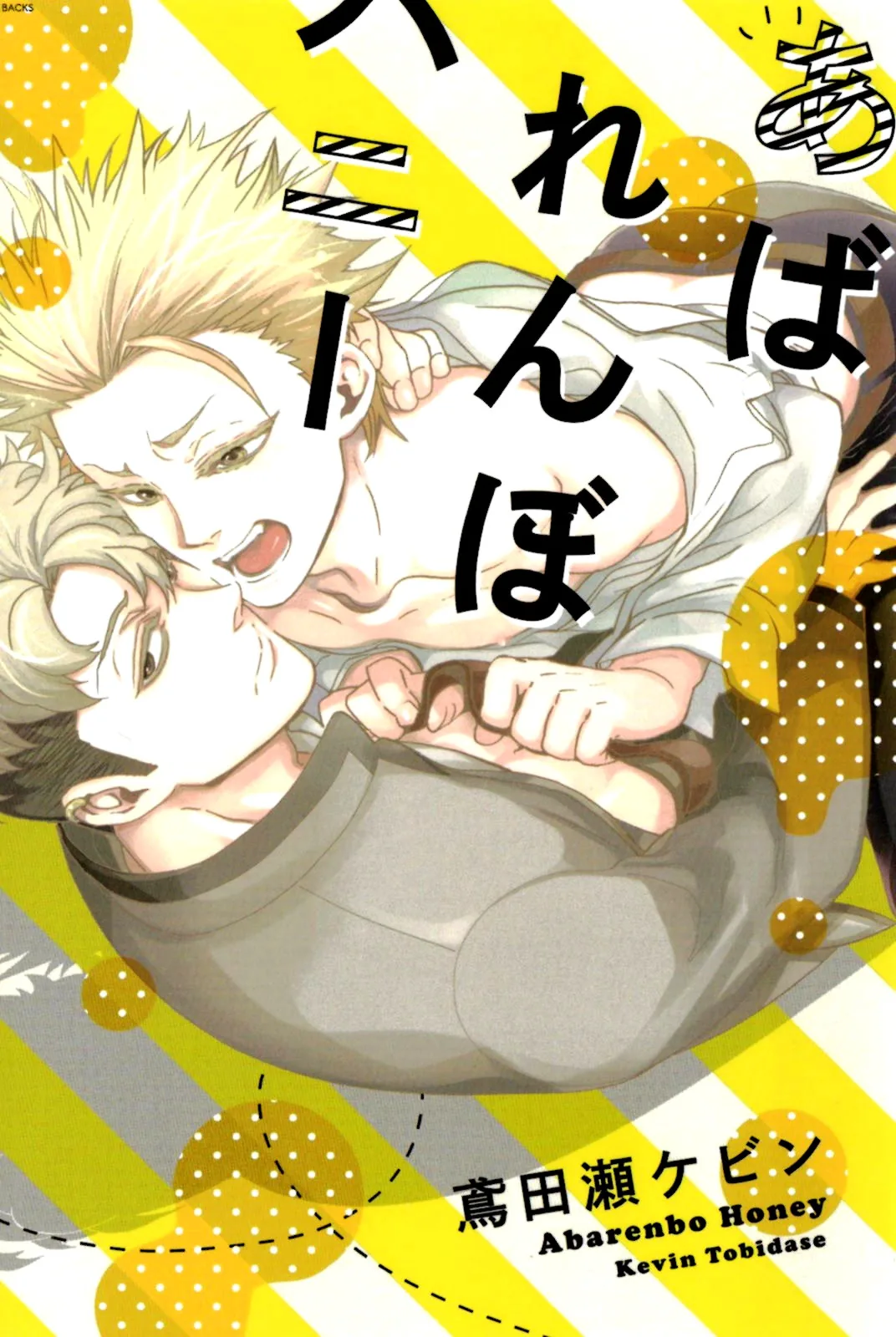 Abarenbo Honey Chapter 1 page 2 - 