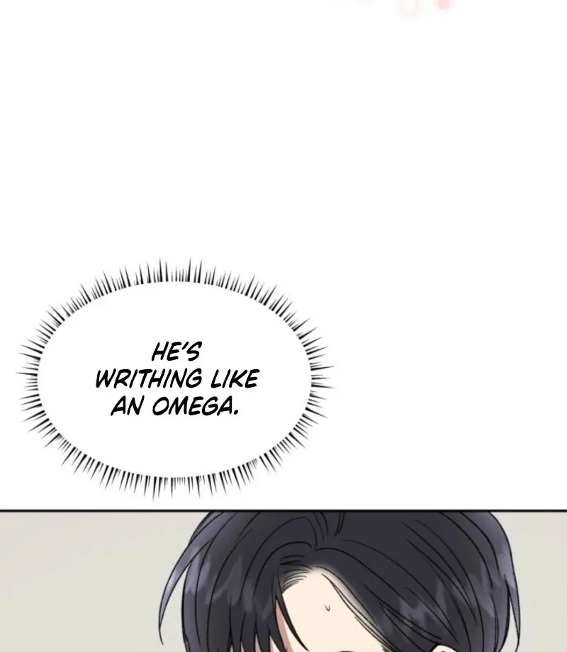 Absolute Advantage Chapter 17 page 102 - 