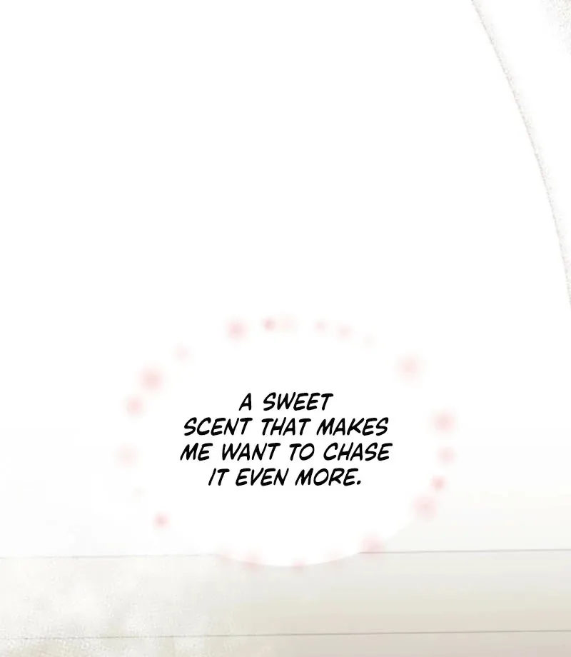 Absolute Advantage Chapter 17 page 111 - 