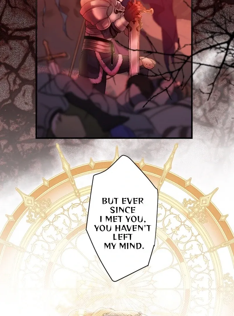 Absolute Love Enforcement The Reason Why a Female Soldier Became The Beloved Character in Her New Life Chapter 13 page 83 - 