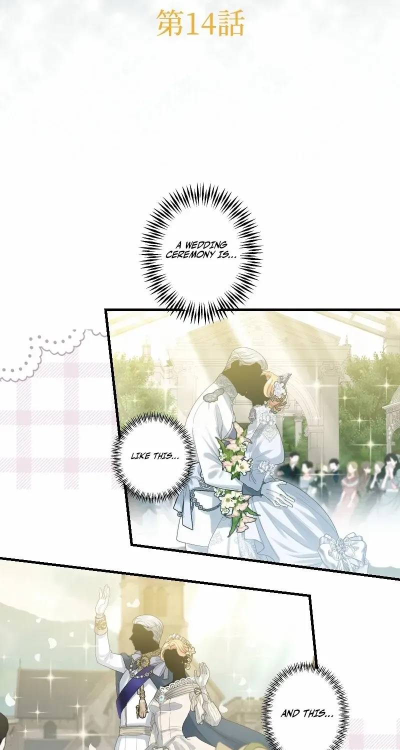 Absolute Love Enforcement The Reason Why a Female Soldier Became The Beloved Character in Her New Life Chapter 14 page 6 - 