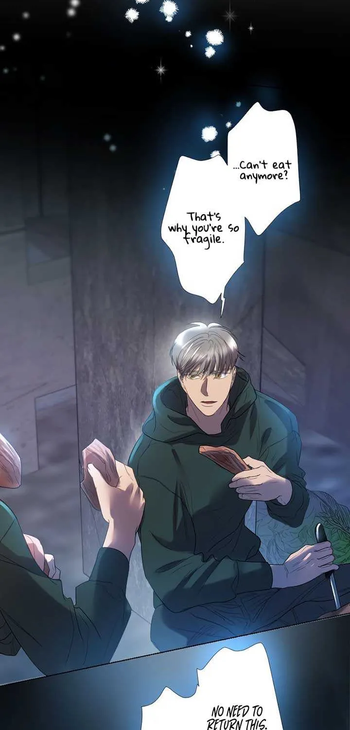 Absolute Love Enforcement The Reason Why a Female Soldier Became The Beloved Character in Her New Life Chapter 2 page 21 - 