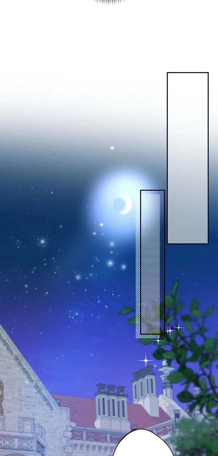 Absolute Love Enforcement The Reason Why a Female Soldier Became The Beloved Character in Her New Life Chapter 2 page 33 - 