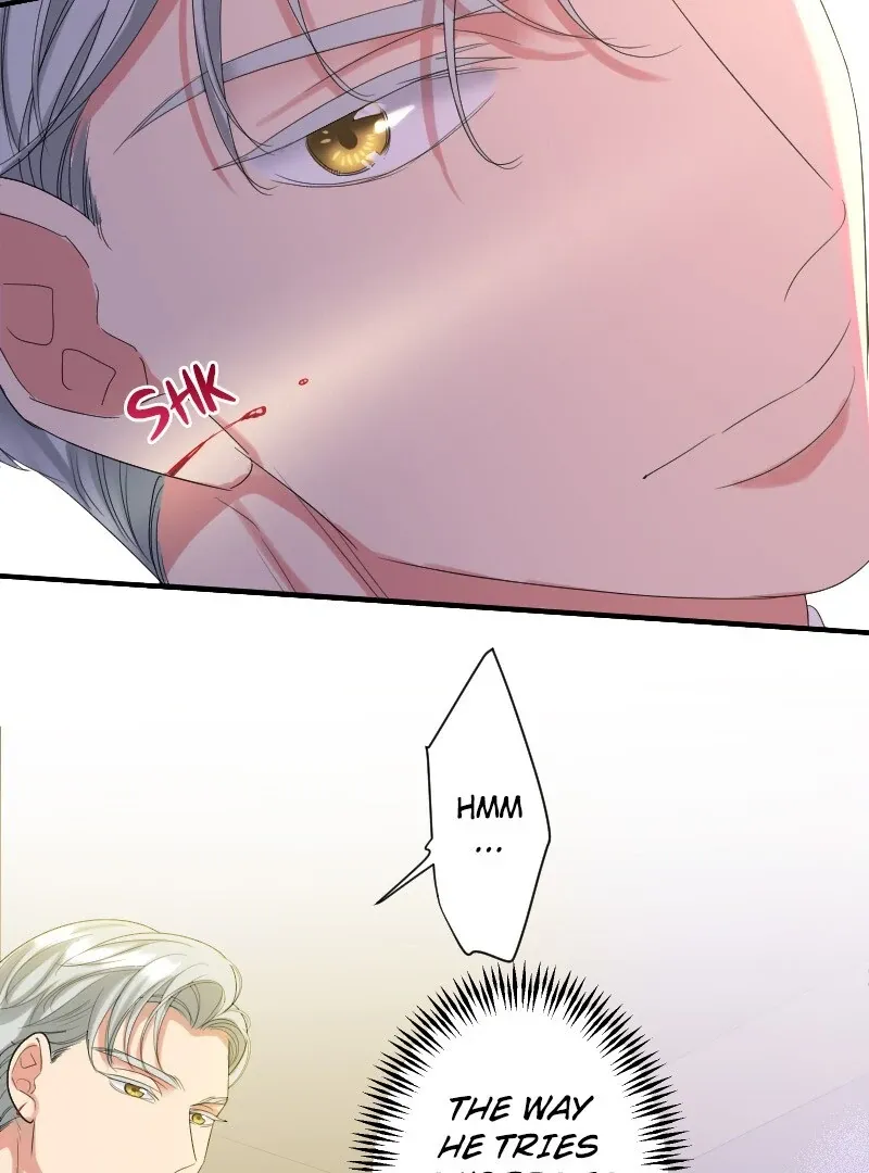 Absolute Love Enforcement The Reason Why a Female Soldier Became The Beloved Character in Her New Life Chapter 5 page 52 - 