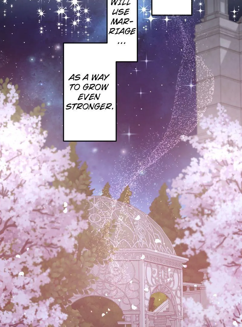 Absolute Love Enforcement The Reason Why a Female Soldier Became The Beloved Character in Her New Life Chapter 7 page 103 - 