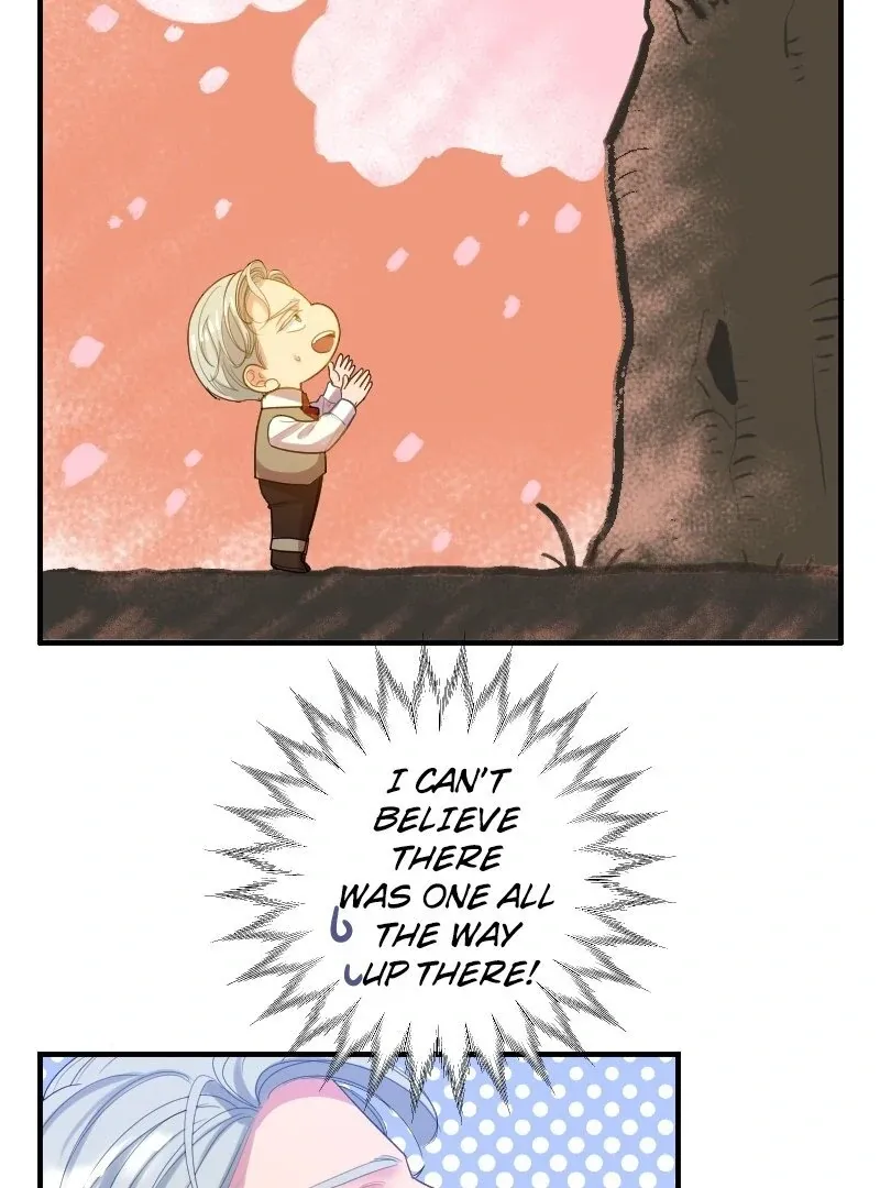 Absolute Love Enforcement The Reason Why a Female Soldier Became The Beloved Character in Her New Life Chapter 9 page 80 - 