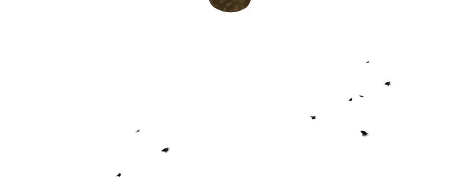 Absolute Reign Chapter 22 page 79 - 