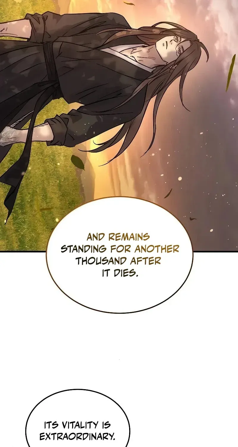 Absolute Reign Chapter 91 page 133 - 