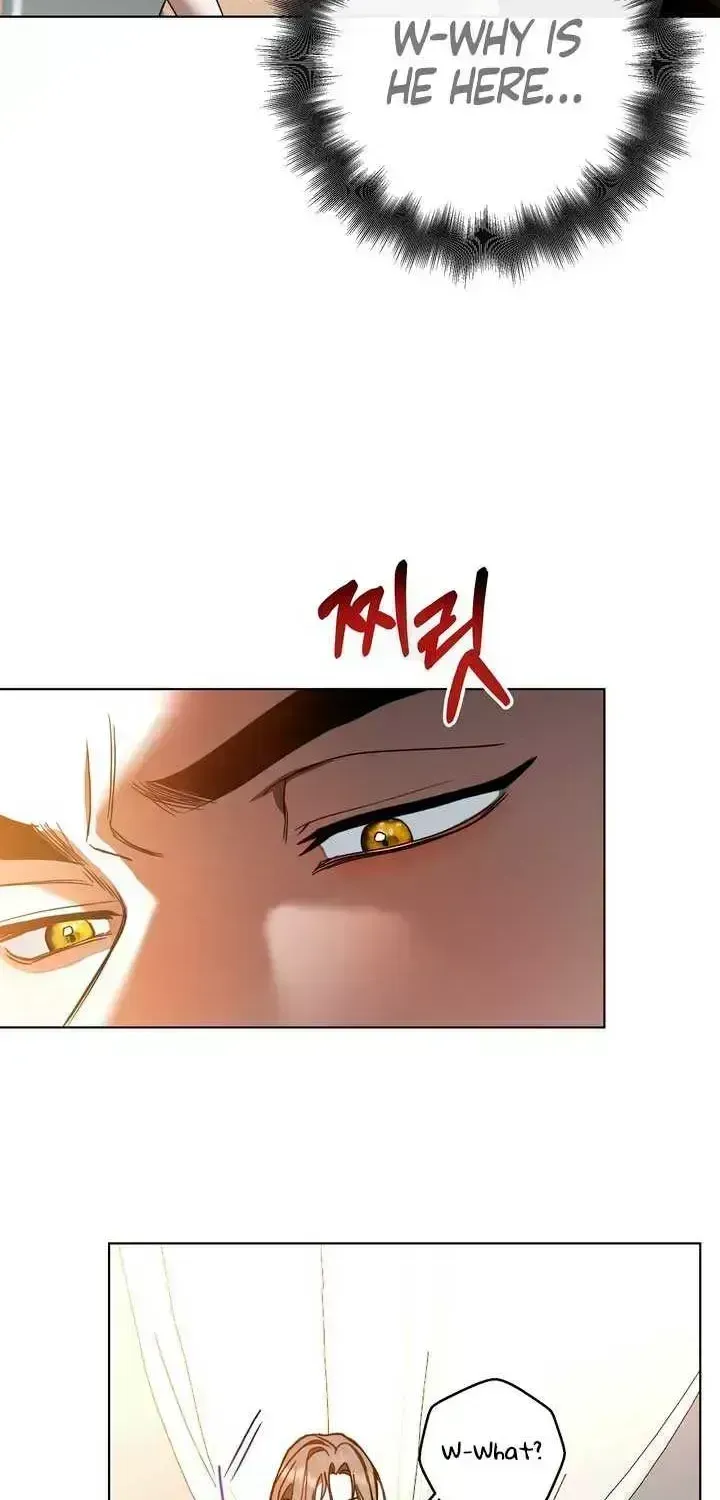 Absolute Threshold Chapter 1.6 page 22 - 