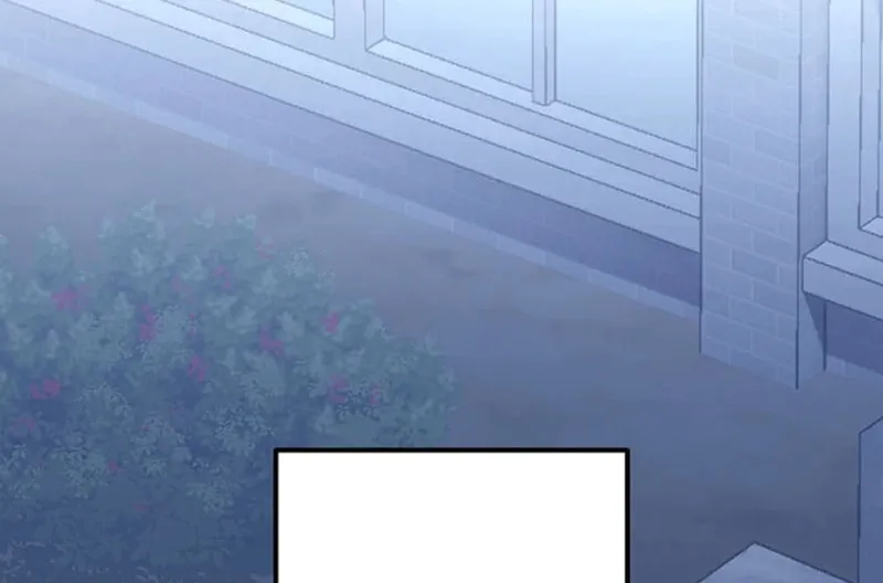 Academy Organization Chapter 17 page 153 - 