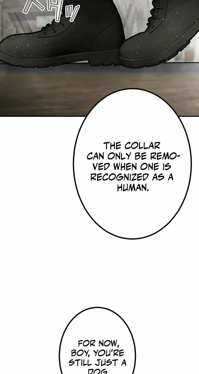 Academy Organization Chapter 5 page 28 - 