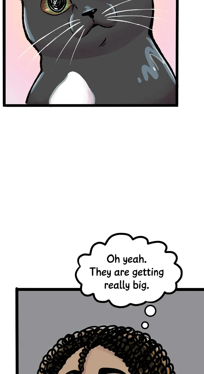 Acception Chapter 280 page 15 - 