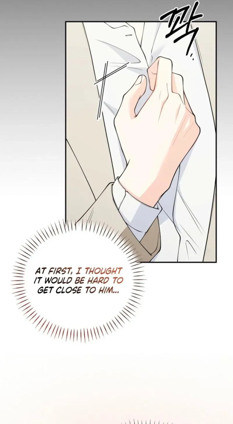 Accidental Romance Chapter 25 page 52 - 