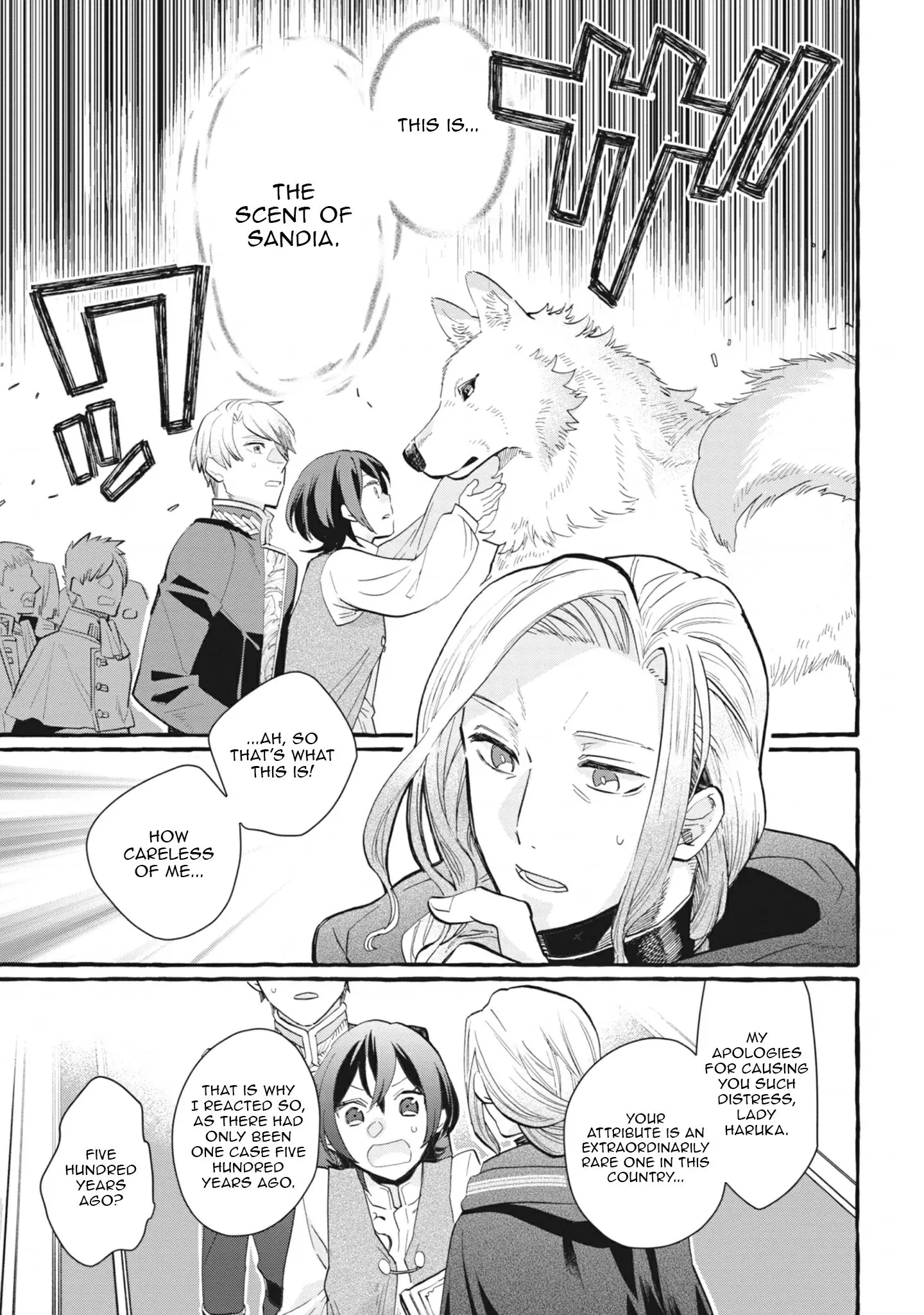 Ace of the Royal Knights: In Another World, I Gained Overwhelming Magic and a Supply Skill Favored by Sacred Beasts Chapter 3 page 27 - 
