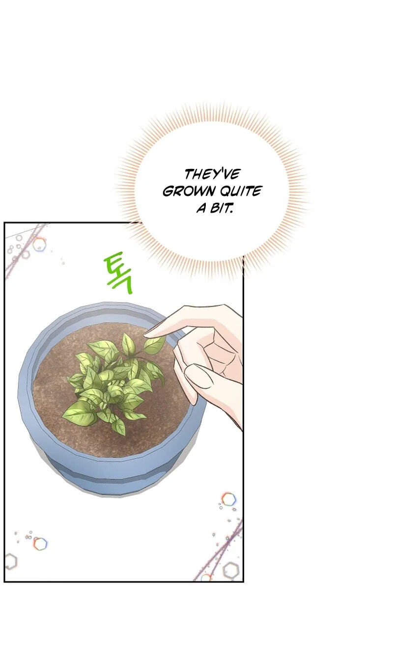 Acidity of Regret Chapter 50 page 68 - 