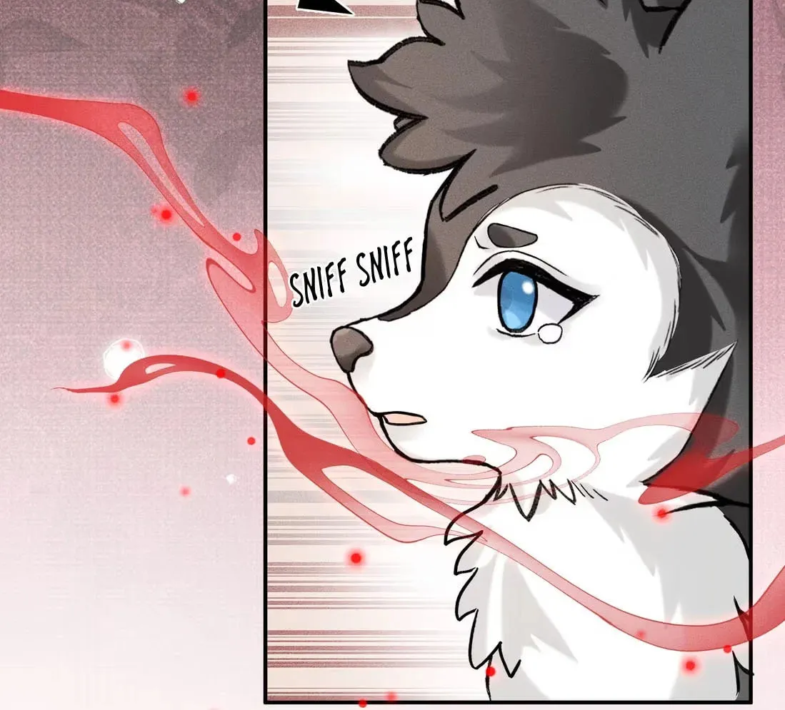 Acknowledging Enemy as Daddy Chapter 1 page 41 - 