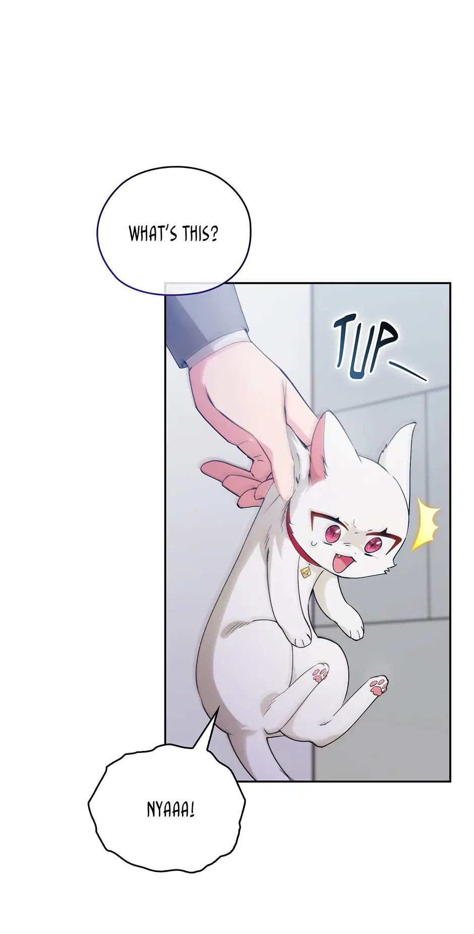 Adonis Chapter 278 page 11 - 
