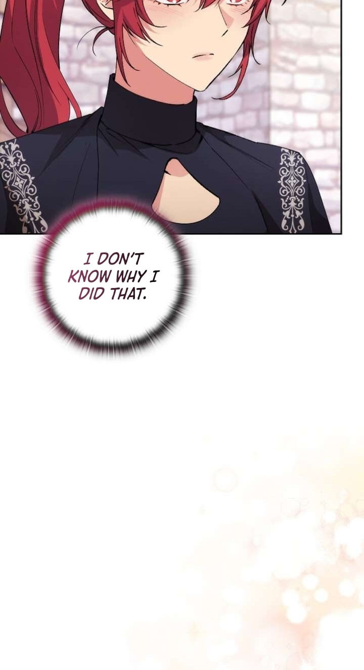 Adonis Chapter 310 page 135 - 