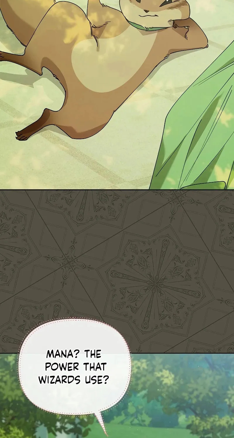 Adopted by a Murderous Duke Family Chapter 29 page 24 - 