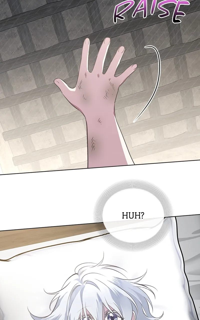 Adopted by a Murderous Duke Family Chapter 1 page 65 - 