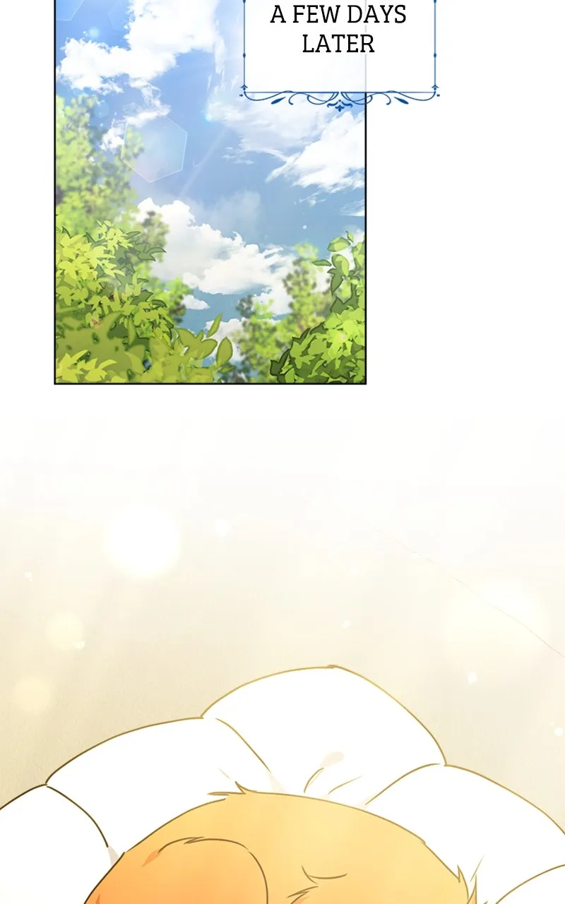 Adopted by a Murderous Duke Family Chapter 17 page 47 - 