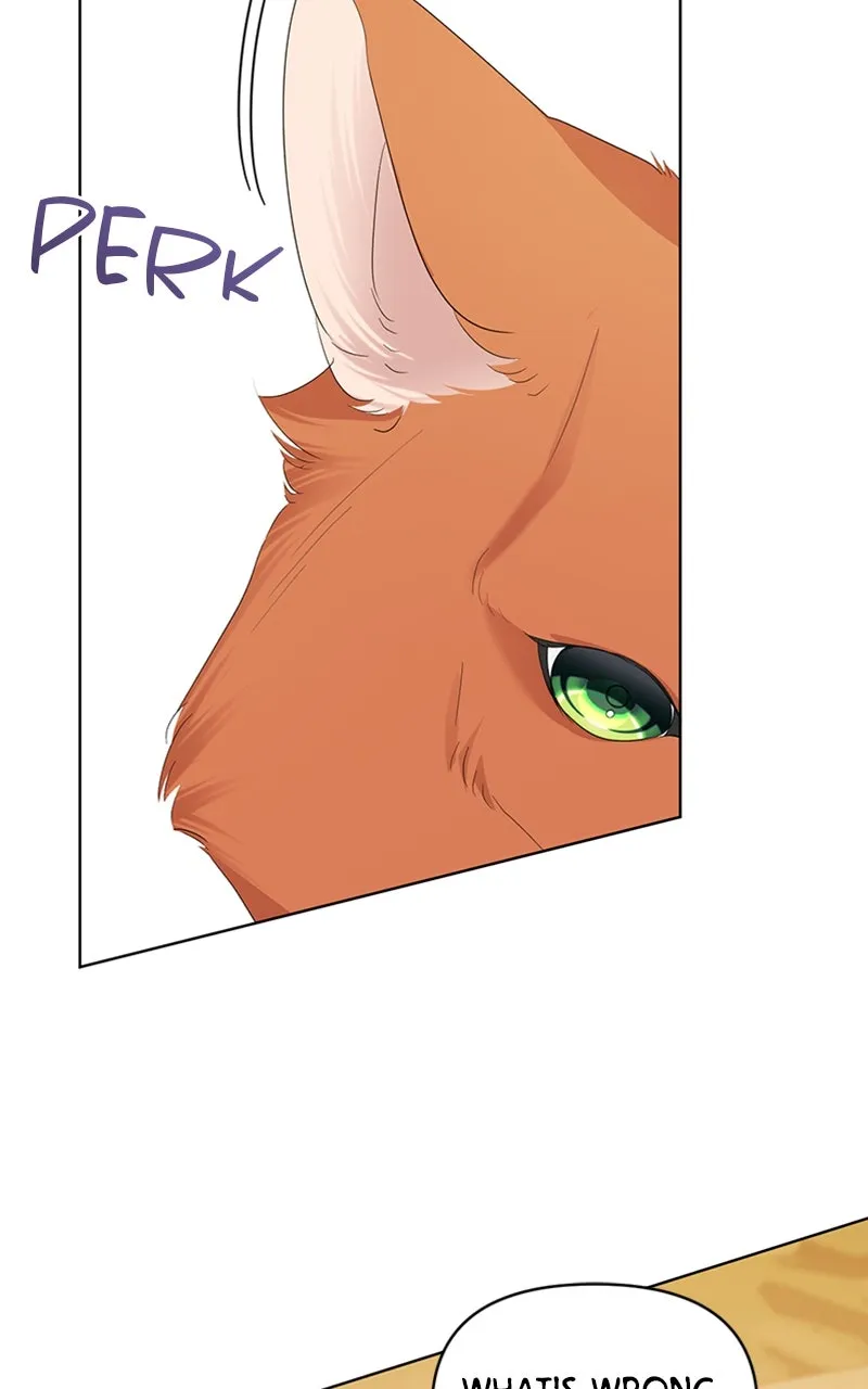 Adopted by a Murderous Duke Family Chapter 76 page 14 - 