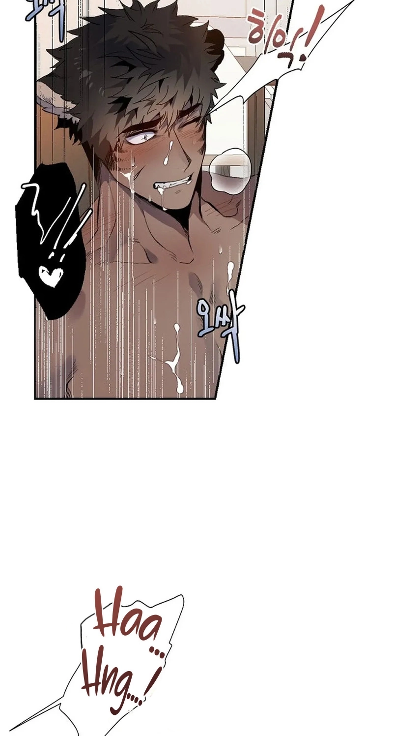 [Adult BL Shorts] Bara-Boom!â˜… Chapter 3 page 43 - 