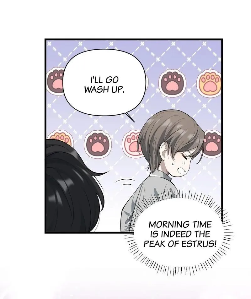 Aesthetic Formula Chapter 10 page 5 - 