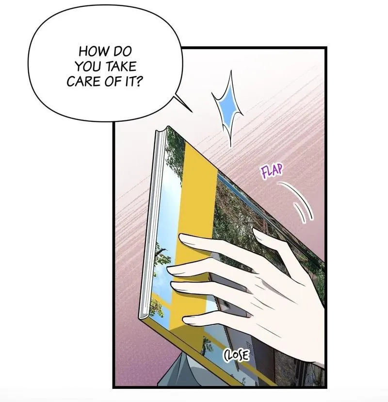 Aesthetic Formula Chapter 12 page 8 - 