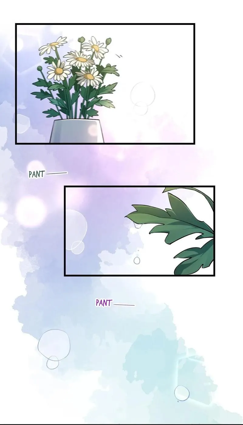 Aesthetic Formula Chapter 14 page 14 - 