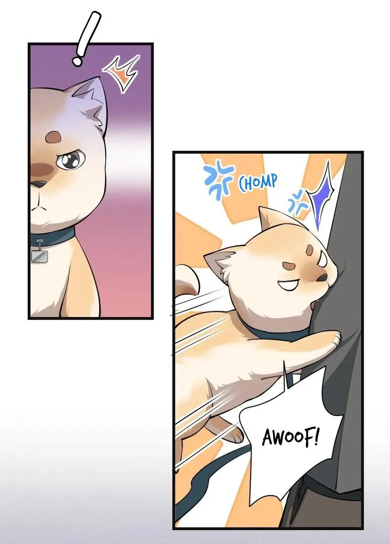 Aesthetic Formula Chapter 16 page 19 - 